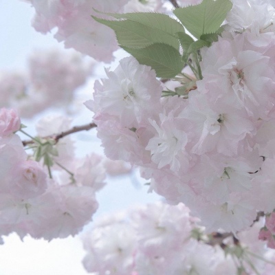 岳塘FurryQQ群介绍